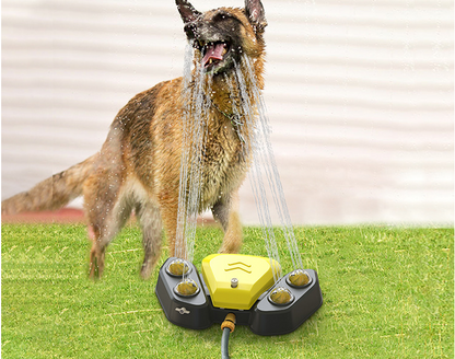 Automatischer Wasserbrunnen für Hunde im Freien