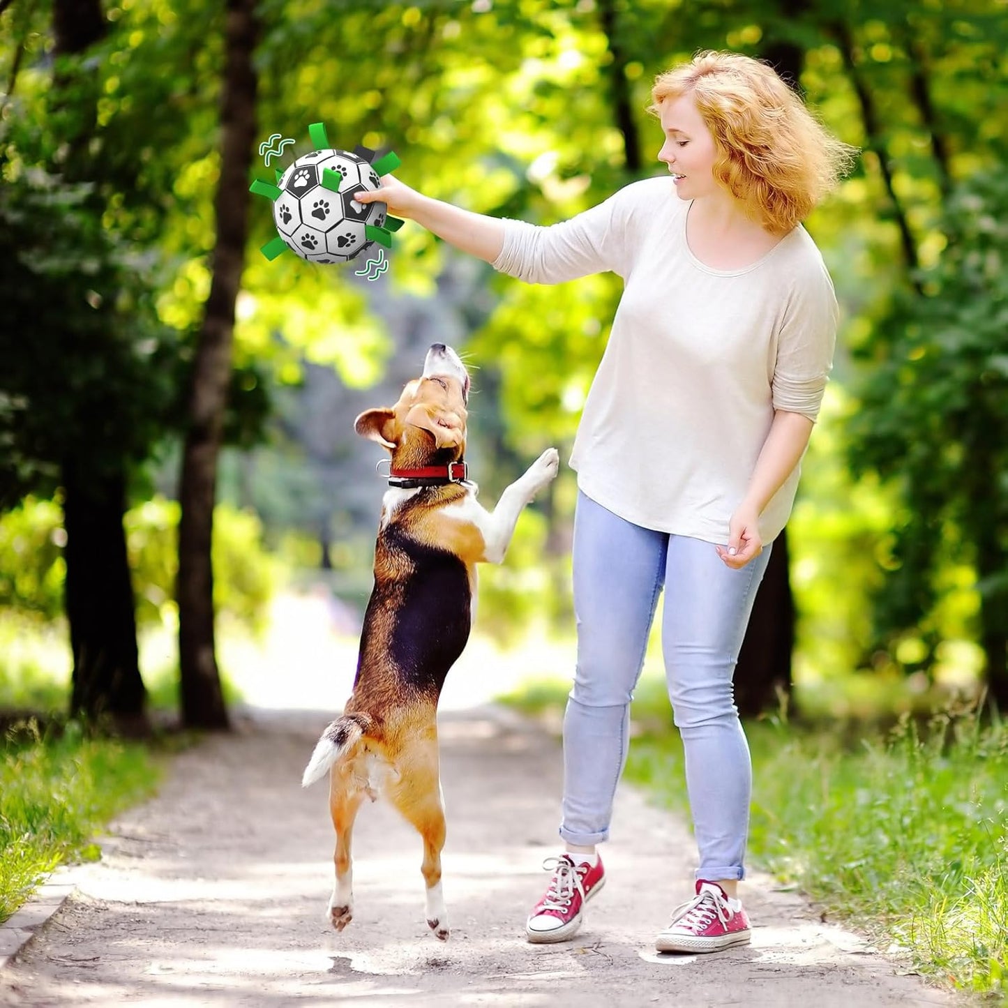 Hundefussball