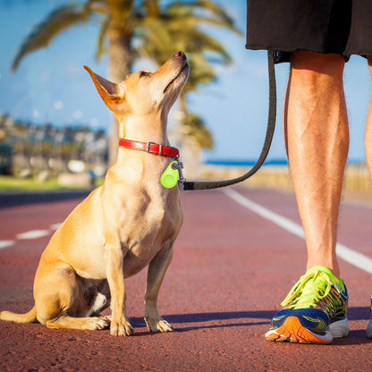 Intelligenter GPS-Tracker für Haustiere