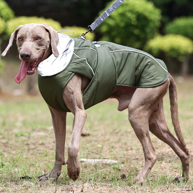 Robuste, wasserdichte Hundejacke