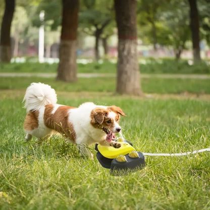 Automatischer Wasserbrunnen für Hunde im Freien