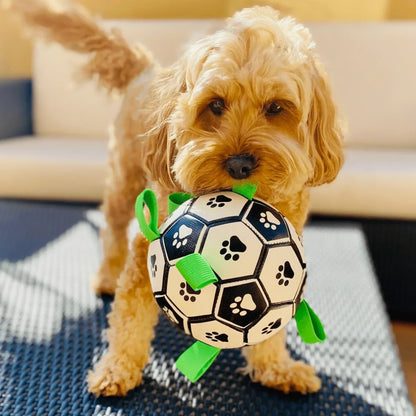 Hundefussball